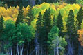 AGRICULTURE, FORESTRY AND NATURAL RESOURCES